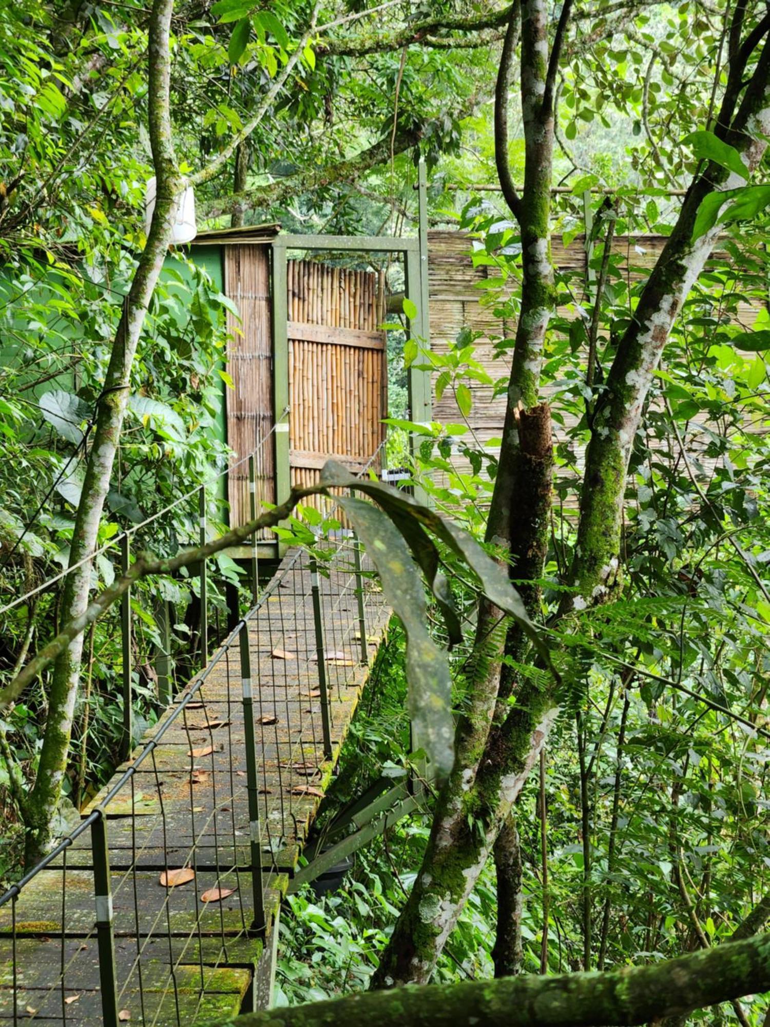 Tente de luxe Allegro Eco Glamping